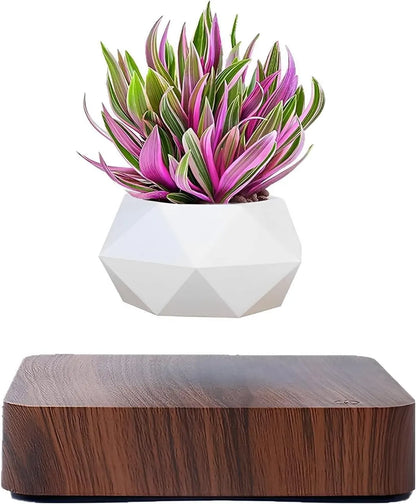 Beauty Flora Floating Plant Pot- Levitating Air Bonsai Pot, Rotation Flower Pot Planters, Magnetic Levitation Suspension Floating Pot, Potted Plant Home Desk Decor in Flower Pots & Planters from Home & Garden .