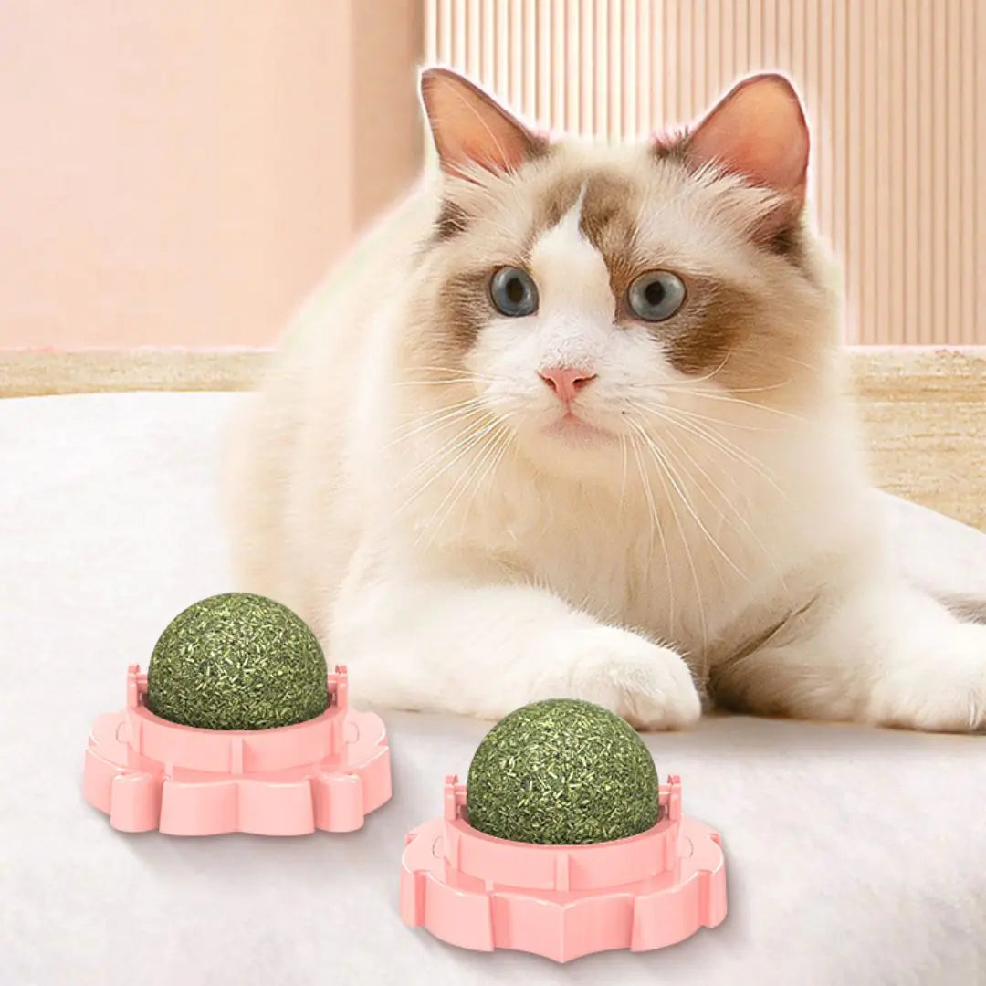 Cat Toy Catnip Ball