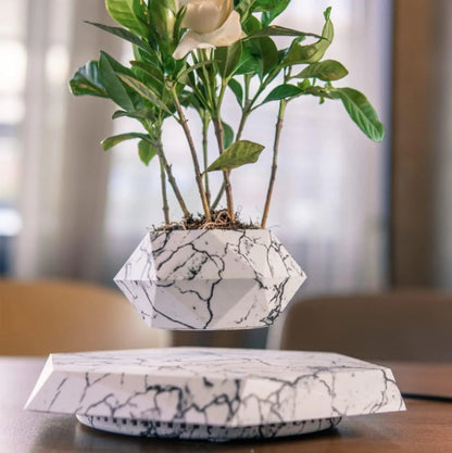 Beauty Flora Floating Plant Pot- Levitating Air Bonsai Pot, Rotation Flower Pot Planters, Magnetic Levitation Suspension Floating Pot, Potted Plant Home Desk Decor in Flower Pots & Planters from Home & Garden .