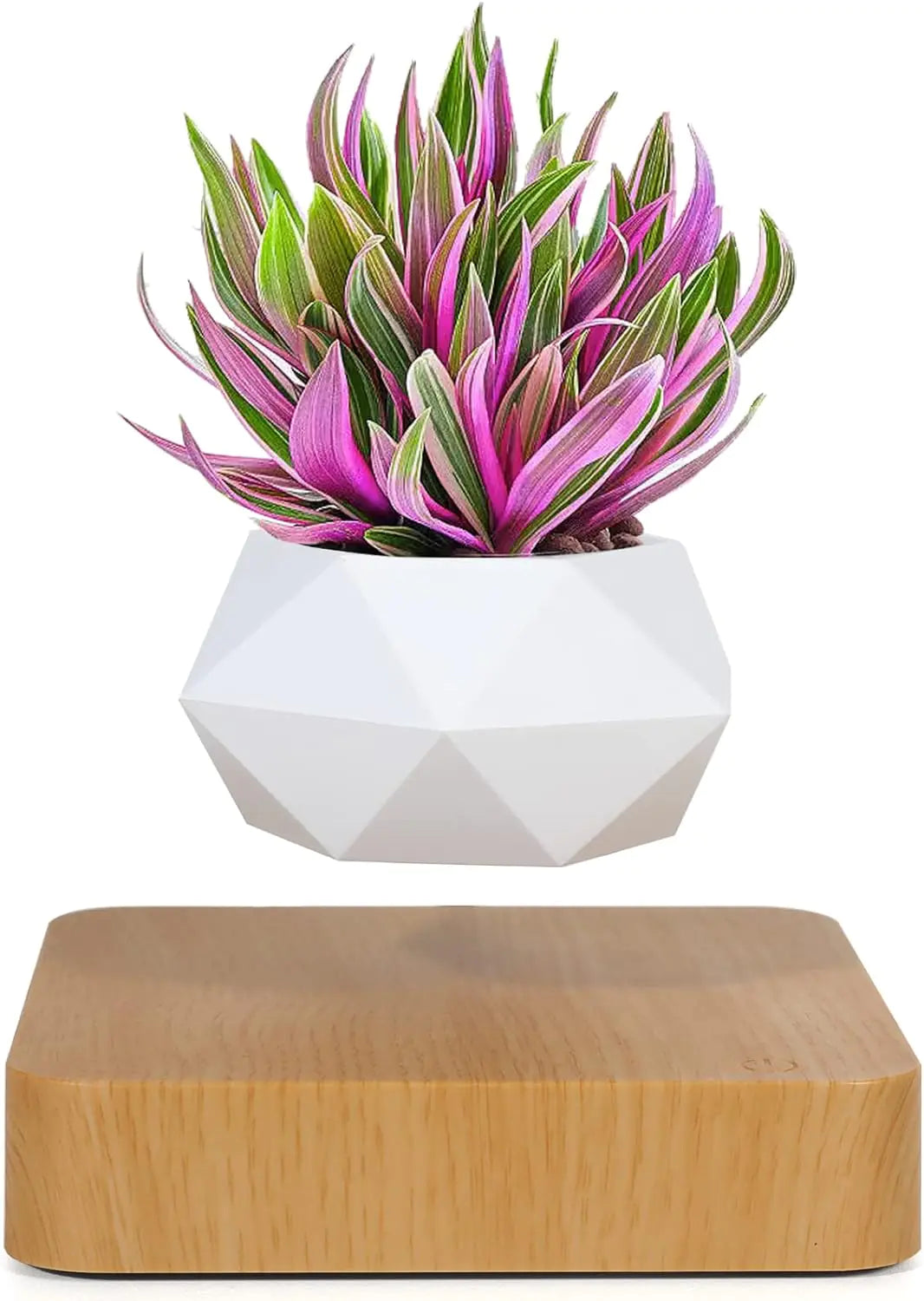 Beauty Flora Floating Plant Pot- Levitating Air Bonsai Pot, Rotation Flower Pot Planters, Magnetic Levitation Suspension Floating Pot, Potted Plant Home Desk Decor in Flower Pots & Planters from Home & Garden .