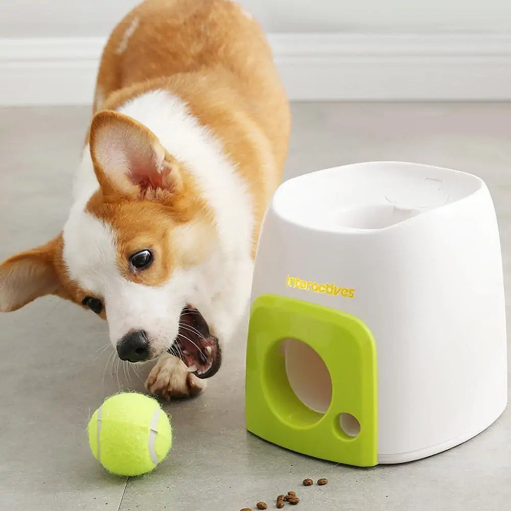 Automatic Interactive Pet Toy